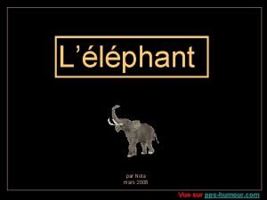 Llphant par Nola mars 2008 Vue sur ppshumour