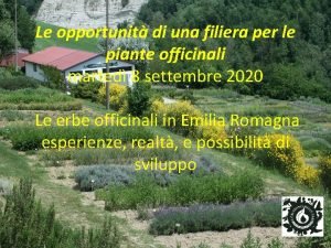 Le opportunit di una filiera per le piante