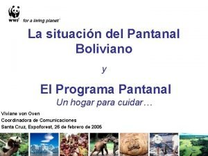 La situacin del Pantanal Boliviano y El Programa