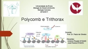 Universidade de vora Biologia do Desenvolvimento Biologia Humana