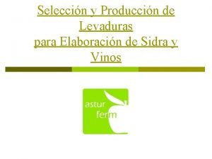 Produccion de levaduras