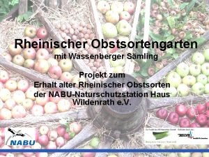 Rheinischer Obstsortengarten mit Wassenberger Smling Projekt zum Erhalt