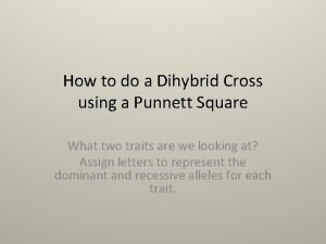 How to do dihybrid crosses