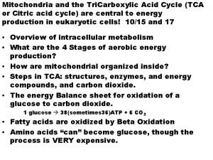 Mitochondria and the Tri Carboxylic Acid Cycle TCA