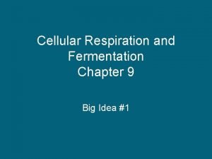 Cellular Respiration and Fermentation Chapter 9 Big Idea