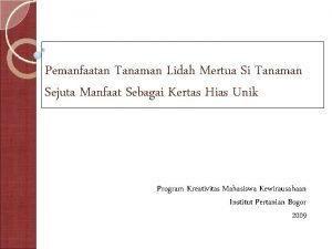 Pemanfaatan Tanaman Lidah Mertua Si Tanaman Sejuta Manfaat