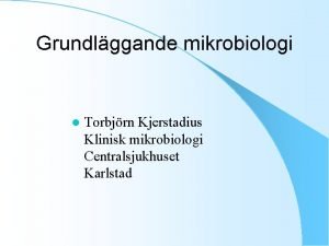 Grundlggande mikrobiologi l Torbjrn Kjerstadius Klinisk mikrobiologi Centralsjukhuset