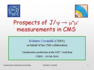 Prospects of Jy measurements in CMS mm Roberto