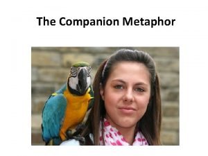 What is a metaphor for companion