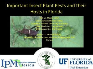 Important Insect Plant Pests and their Hosts in