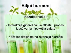 Biljni hormoni Rezultati vebi Interakcija giberelina i svetlosti