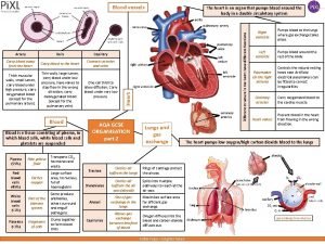 Blood vessels Capillary Carry blood away from the