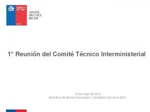 1 Reunin del Comit Tcnico Interministerial 19 de