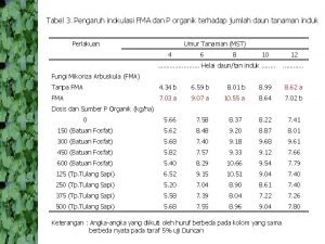 Tabel 3 Pengaruh inokulasi FMA dan P organik