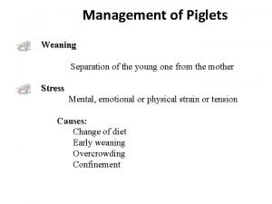 Management of Piglets Weaning Separation of the young