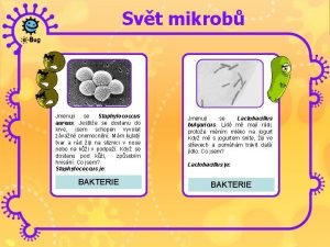 Svt mikrob Jmenuji se Staphylococcus aureus Jestlie se