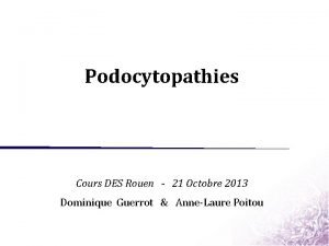 Podocytopathies Cours DES Rouen 21 Octobre 2013 Dominique