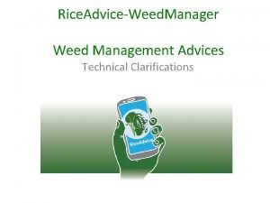 Rice AdviceWeed Manager Weed Management Advices Technical Clarifications