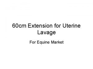 60 cm Extension for Uterine Lavage For Equine