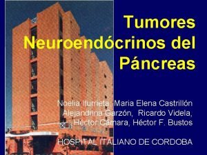 Tumores Neuroendcrinos del Pncreas Noelia Iturrieta Maria Elena