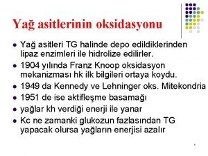 Ya asitlerinin oksidasyonu l l l Ya asitleri