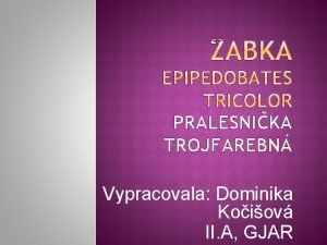 PRALESNIKA TROJFAREBN Vypracovala Dominika Koiov II A GJAR