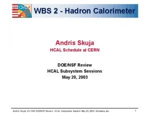 WBS 2 Hadron Calorimeter Andris Skuja HCAL Schedule