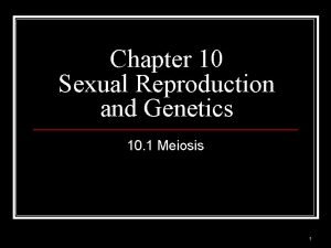 Chapter 10 sexual reproduction and genetics