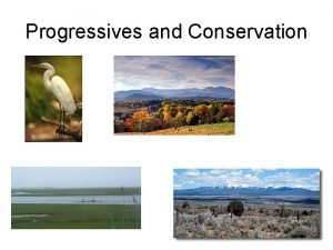 Progressives and Conservation Progressives and the Wilderness Need
