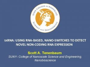 SXRNA USING RNABASED NANOSWITCHES TO DETECT NOVEL NONCODING