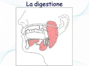 La digestione Linterno del nostro corpo attraversato da