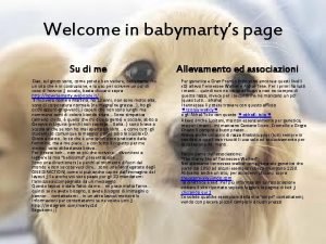 Welcome in babymartys page Su di me Allevamento