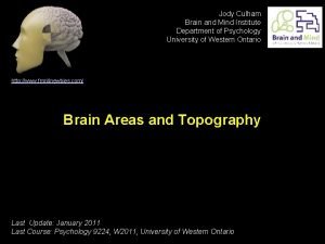 Jody Culham Brain and Mind Institute Department of