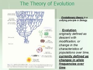 The Theory of Evolution Evolutionary theory is a