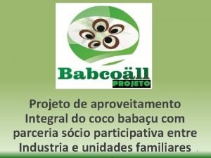 Projeto de aproveitamento Integral do coco babau com