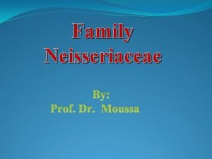 Family Neisseriaceae By Prof Dr Moussa Commensally present