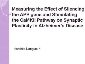 Measuring the Effect of Silencing the APP gene