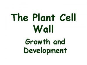 The Plant Cell Wall Growth and Development From