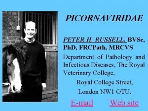 PICORNAVIRIDAE PETER H RUSSELL BVSc Ph D FRCPath