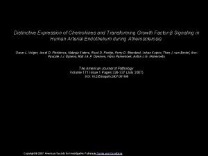 Distinctive Expression of Chemokines and Transforming Growth Factor
