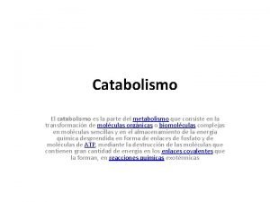 Catabolismo El catabolismo es la parte del metabolismo