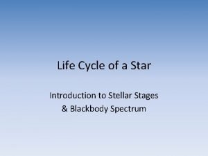 What are the stages of a stars life cycle