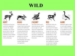 WILD Wild is de verzamelnaam voor dieren die