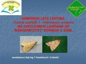 DINAMIKA LETA LEPTIRA Ostrinia nubilalis i Helicoverpa armigera