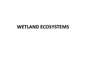 WETLAND ECOSYSTEMS The wetlands lakes estuaries river flood