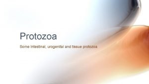 Protozoa Some Intestinal urogenital and tissue protozoa Protozoa