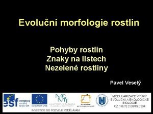 Evolun morfologie rostlin Pohyby rostlin Znaky na listech