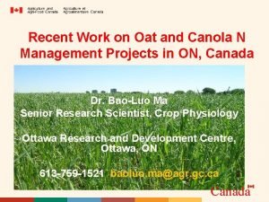 Recent Work on Oat and Canola N Management