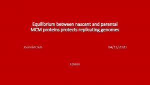 Equilibrium between nascent and parental MCM proteins protects