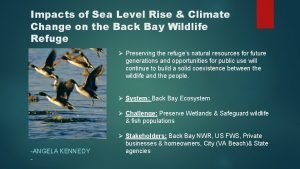 Impacts of Sea Level Rise Climate Change on